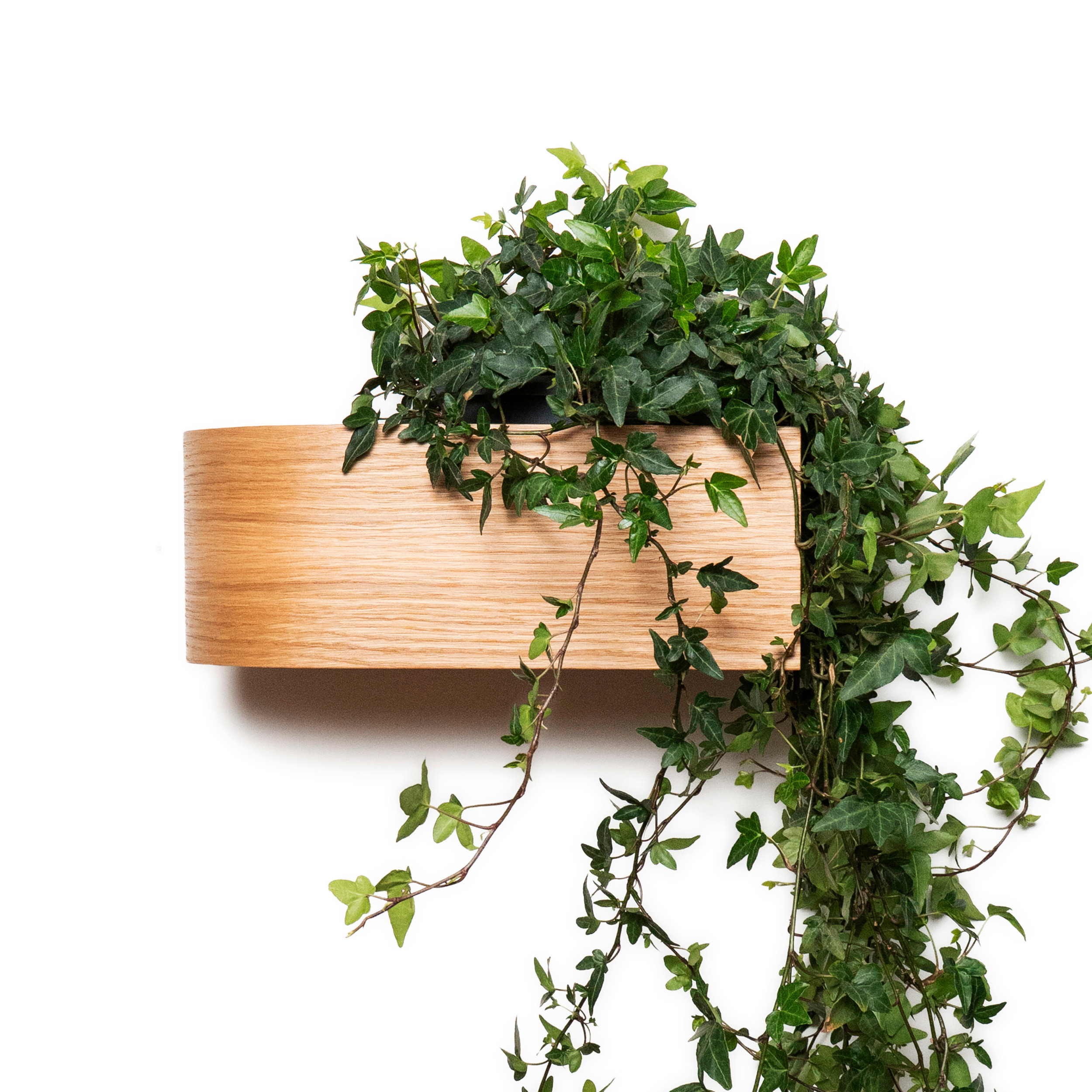 Front view of wooden wall mounted plant holder